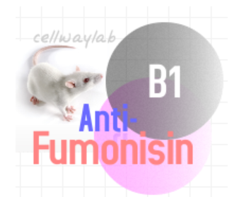 小鼠抗伏馬菌素B1（Monoclonal Mouse Anti-Fumonisin）　