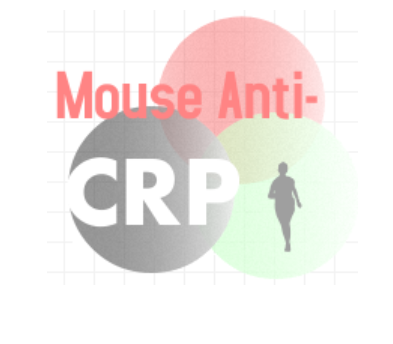 小鼠抗人C反應蛋白（Monoclonal Mouse Anti-CRP）