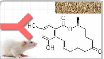 小鼠抗玉米赤霉烯酮（Monoclonal Mouse Anti-Zearalenone）